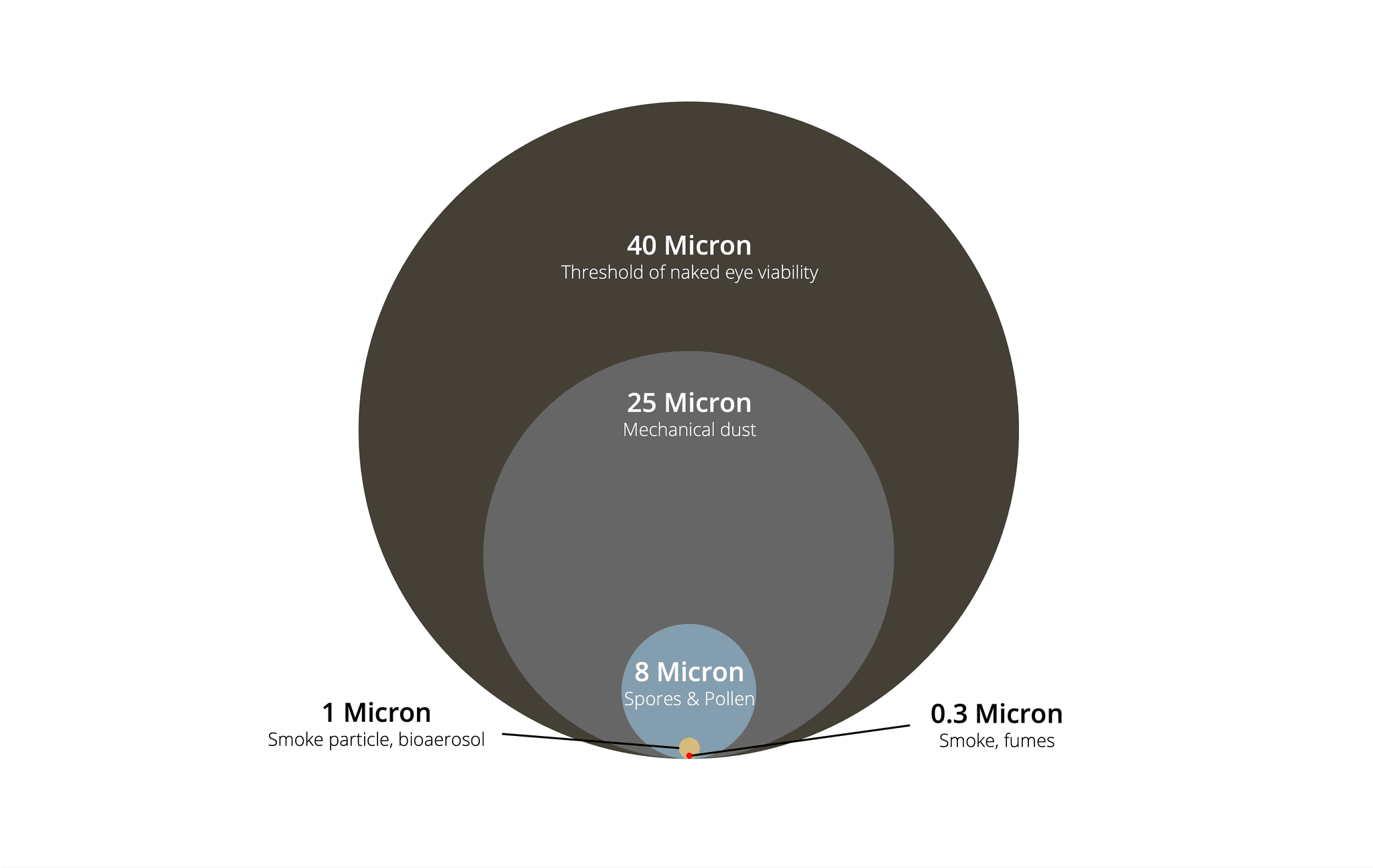 Visueller Vergleich der PM2,5-Partikelgröße mit einem menschlichen Haar und feinem Sand
